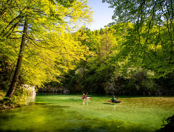 One for the River: The Sava Story